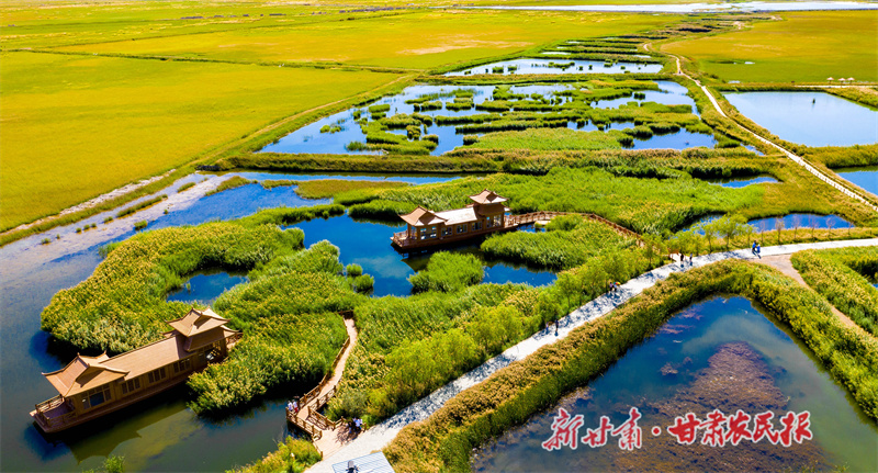 肃州区：聚焦“三项重点” 全力打造“三农”工作亮点