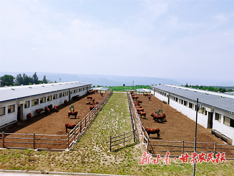 重了“肉盘子”——“聚焦甘肃三农这五年”系列报道之五