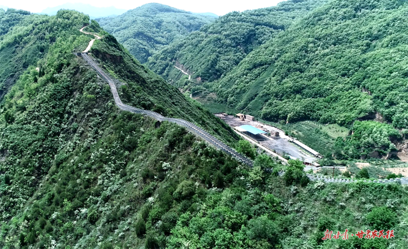 麦积区元龙镇：产业强起来 村民富起来