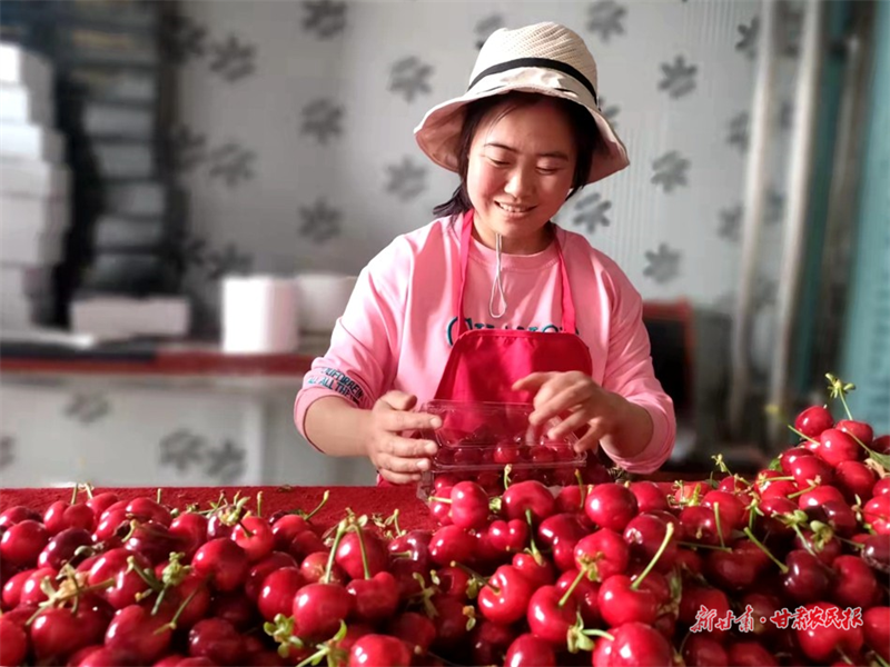 麦积区中滩镇汪李村：圆圆的“小灯笼” 火红的振兴路