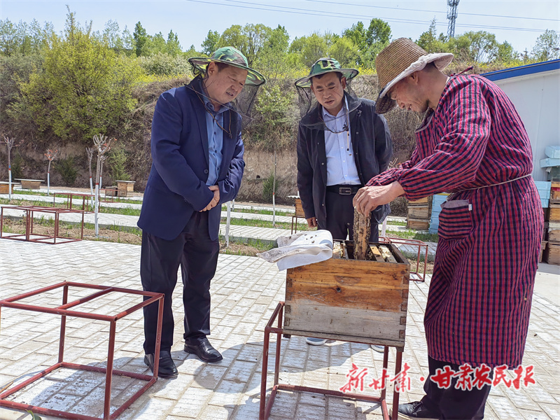 庄浪县：小蜜蜂酿出“甜日子”