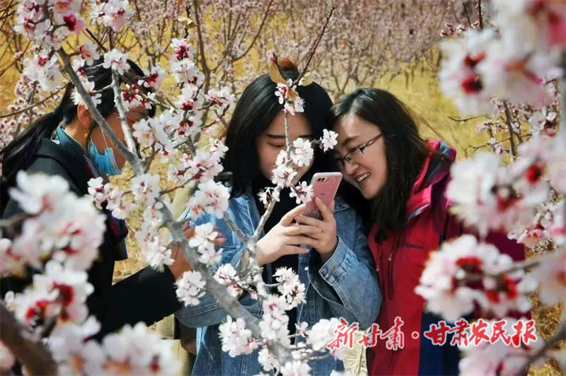 肃州区：党建引领 文化铸魂 乡村振兴注入新动能