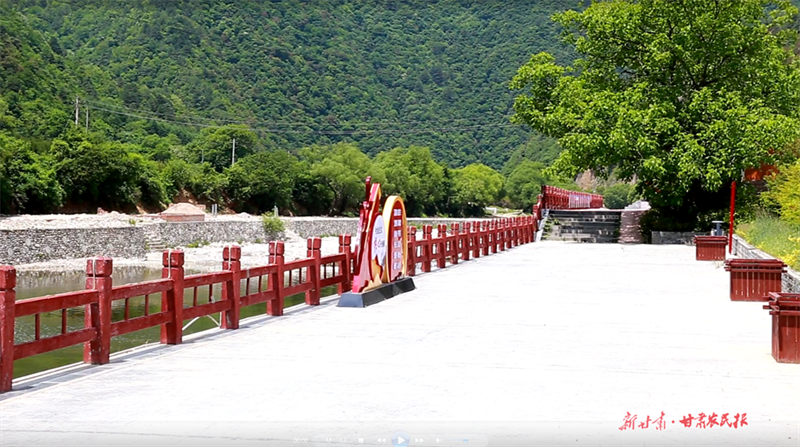 麦积区党川镇：推进人居环境整治 铺就美丽乡村“幸福底色”