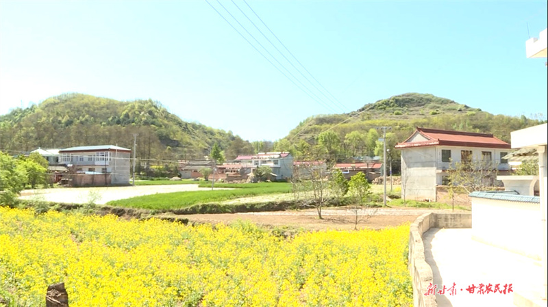 秦州区汪川镇：创建“美丽庭院” 点“靓”美丽画卷