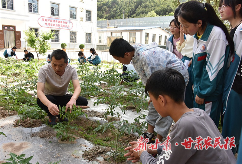 麦积区：打造特色课堂 让学生“向阳”成长