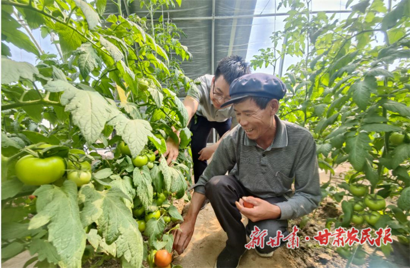 瓜州：温棚产业“多点开花”