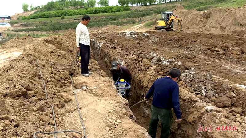 麦积区琥珀镇：发展生猪养殖 助力乡村振兴