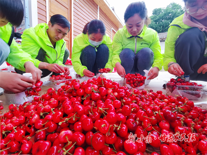 打造惠农“生态圈” 添“邮”加力助振兴 ——甘肃邮政助农惠农工作综述（一）