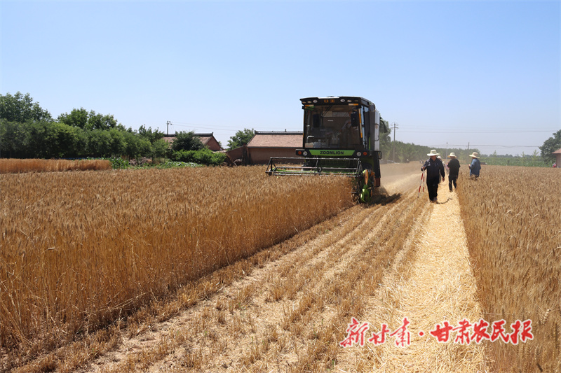 丰收路上的“新麦客”