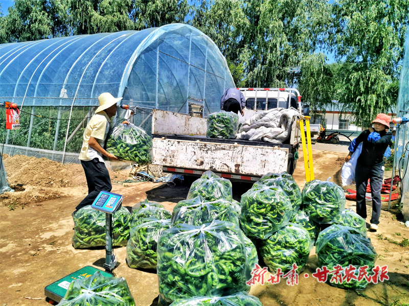 西峰区：党建引领 产业“向”兴