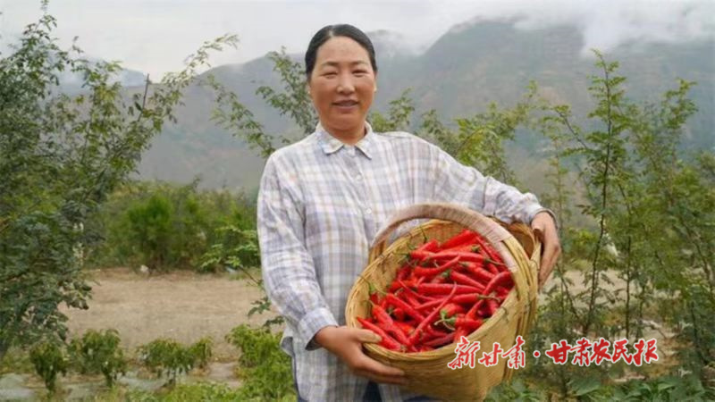 武都：“双椒”合璧 “麻辣”升级