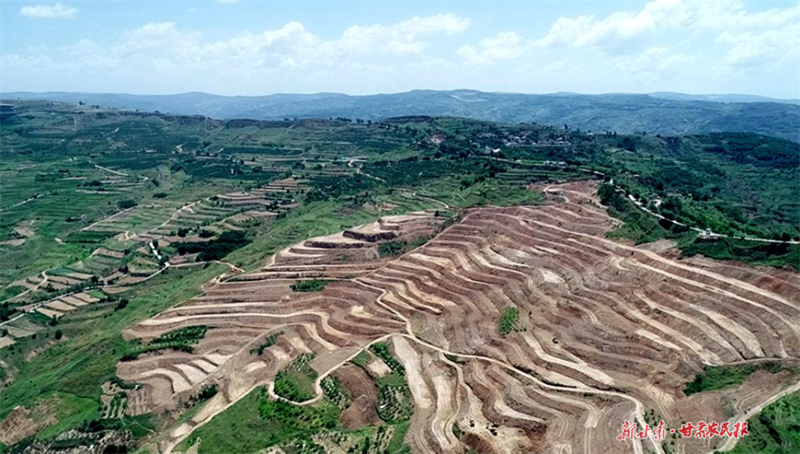 麦积区：高标准农田建设让粮田变“良田”