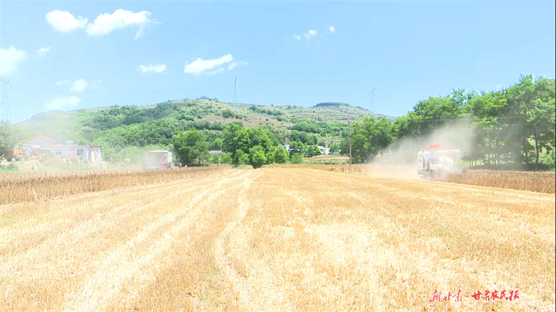 秦州区华岐镇：壮大村级集体经济 赋能乡村振兴