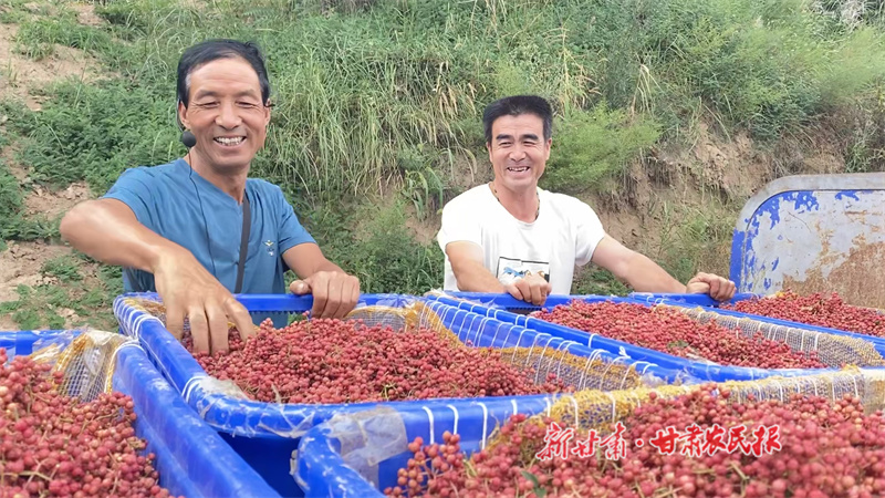 杜得林：让撂荒地长满“致富椒”