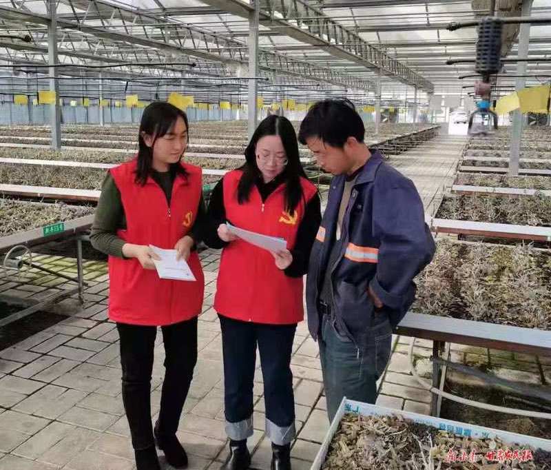 崇信：乡村振兴中的“志愿红”