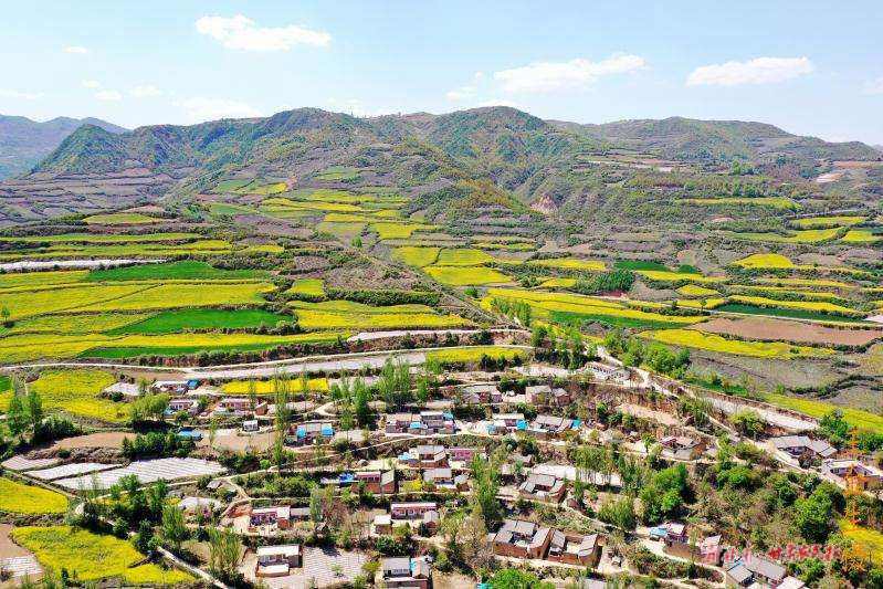 漳县：坚持党建引领 描绘乡村振兴新画卷