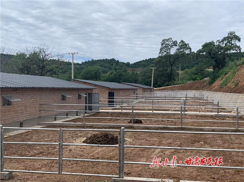 崇信县：住上新房子，过上“牛”日子