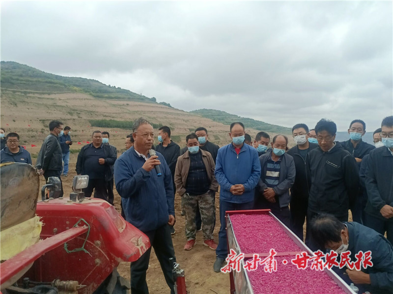 静宁：农技人员来帮忙 抓好秋播保丰收
