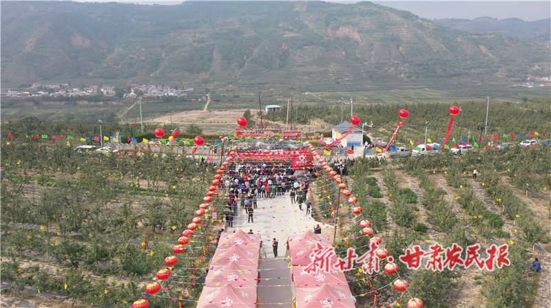 静宁开展丰富多彩的庆丰收活动