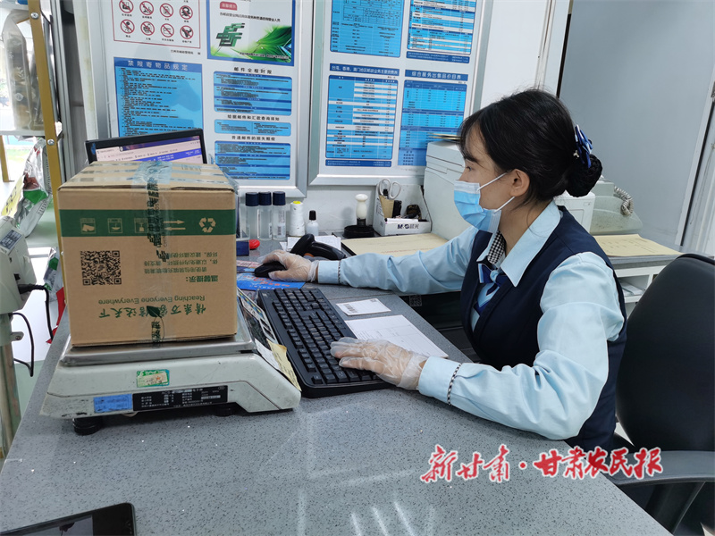 绘就一幅新“邮”画——甘肃邮政助农惠农工作综述（二）