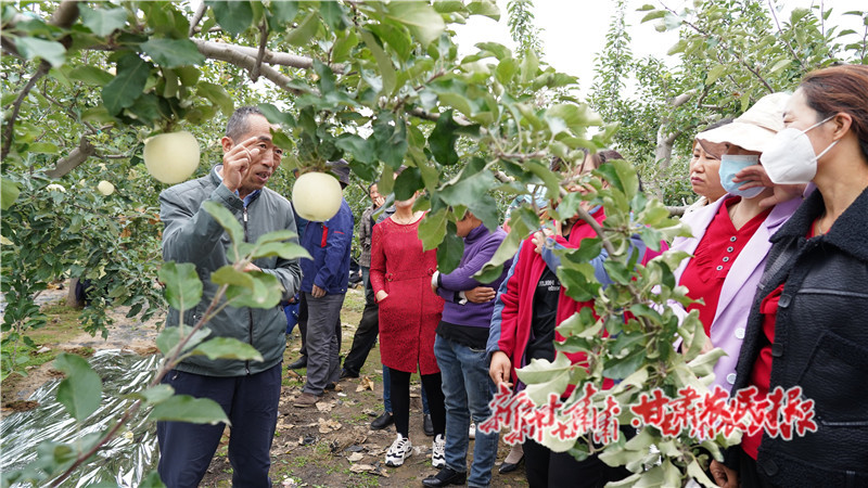静宁：果园管理有技巧 果农增收又增产