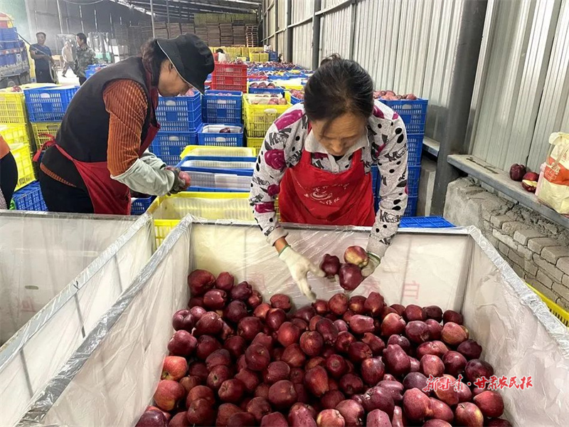 麦积区：就业就在家门口 村民增收不发愁