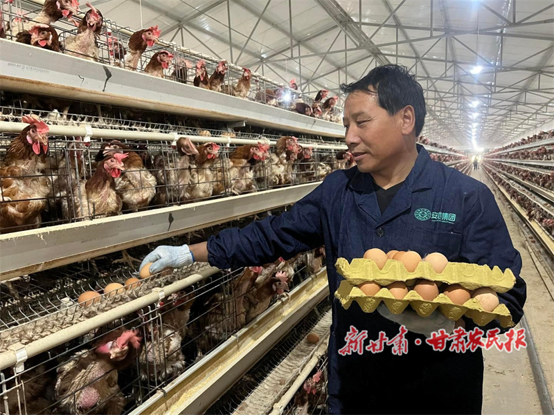 石玉祥：养鸡“啄”开致富门