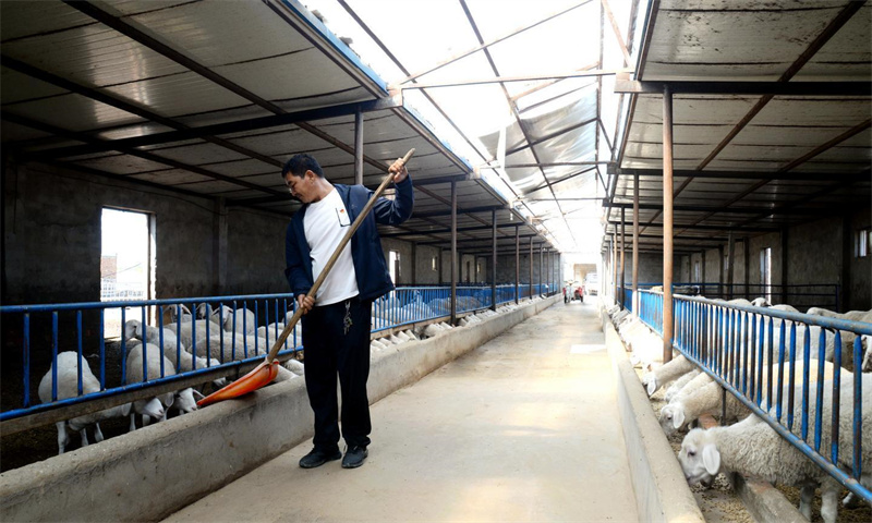 徐创富：农田里的追梦人