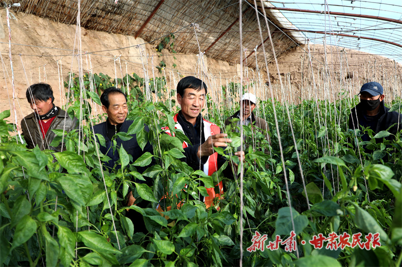 农技人员技术指导