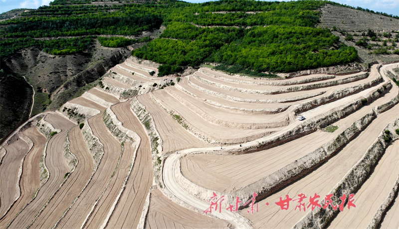 静宁：全方位夯根基鼓起农民的“粮袋子”