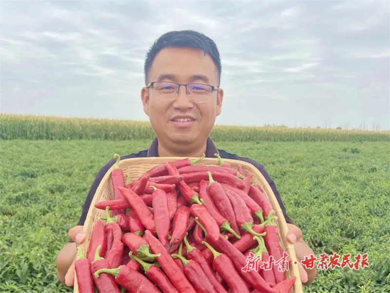 “90后”返乡创业记