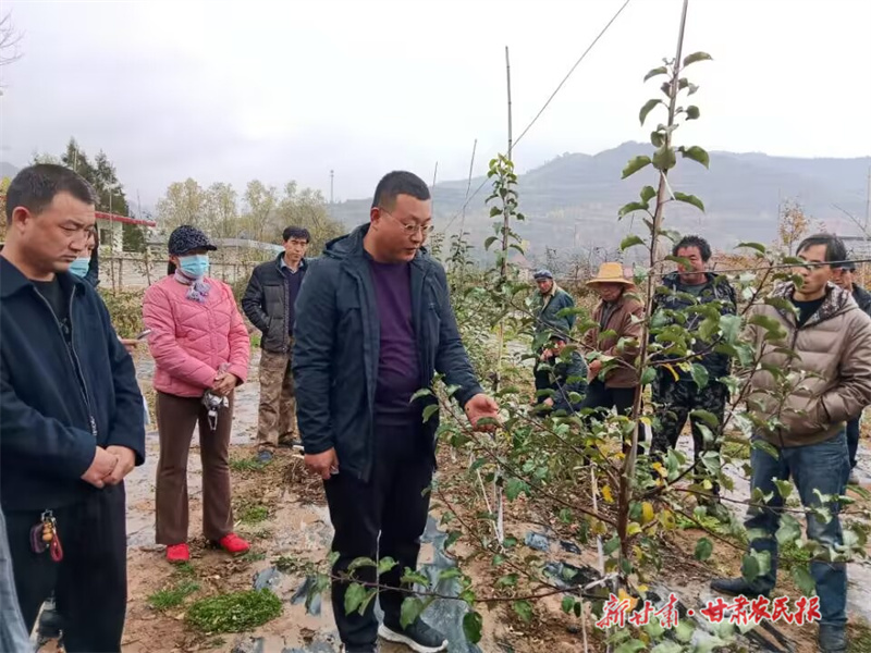 静宁：“流动课堂”进果园 现场“充电”秋管忙