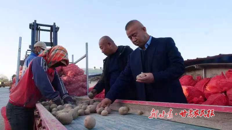 一样的田野 不一样的农民——职业农民梁正明的土豆经