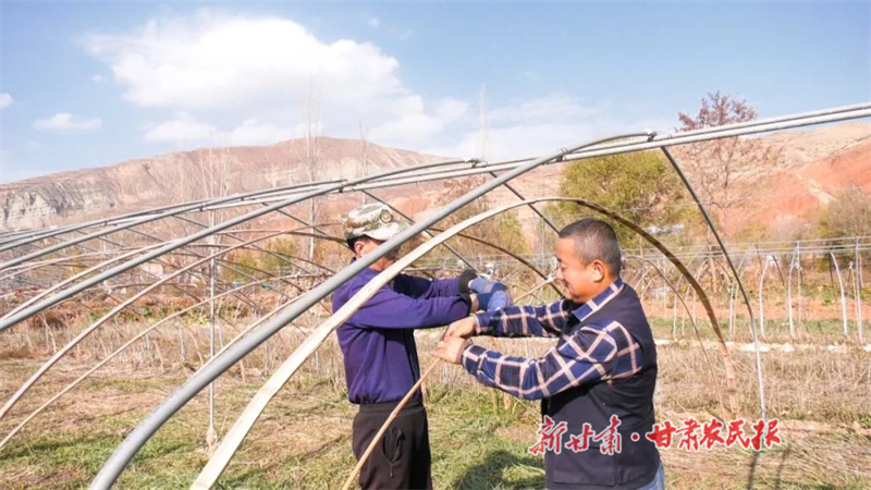 漳县：韭菜产业铺就乡村振兴路