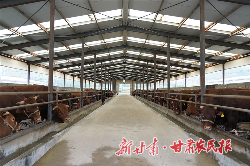 静宁：金融“活水”助力产业强县域