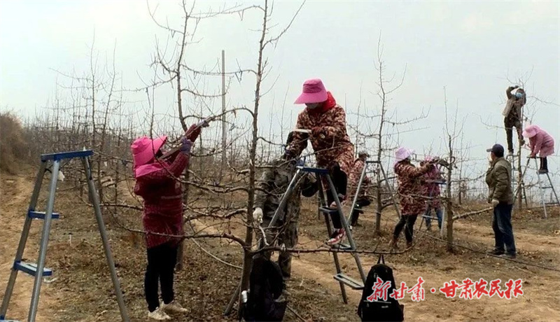 麦积区：农闲人不闲 致富不停歇