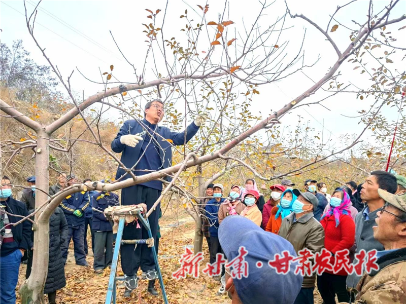 静宁：果园冬管正当时