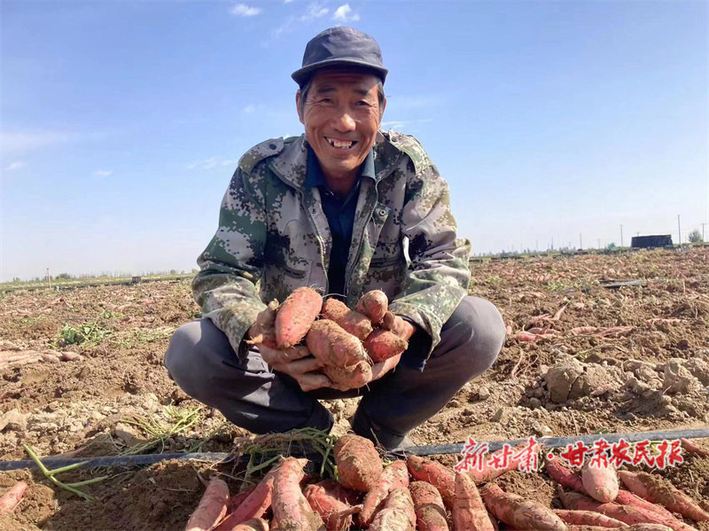 民勤县：特色产业“好钱景”