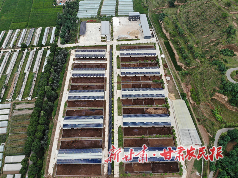 崇信：打造牛棚上的“牧光经济”