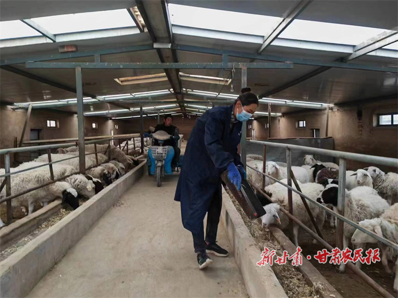 宋喜梅：巾帼绽芳华 致富“领头羊”