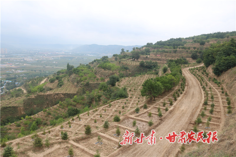 静宁：生态建设擦亮绿色颜值