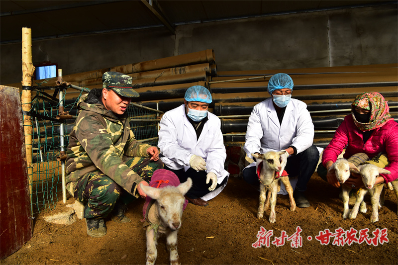 借牧点来了“守护神”