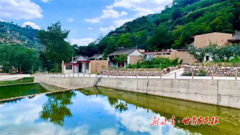 杜福建：和家乡一起“蝶变”