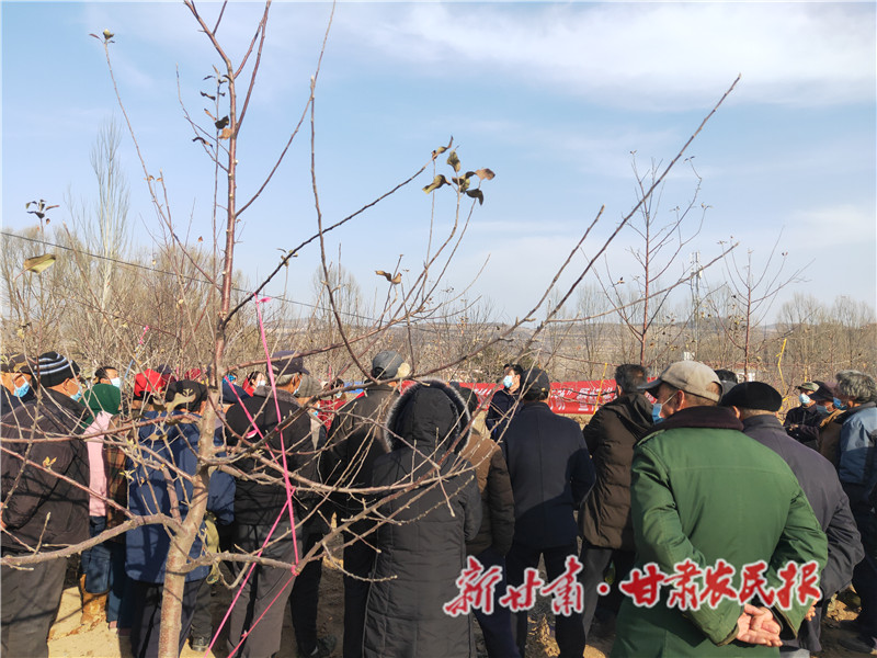 静宁：“因园施策”冬管忙