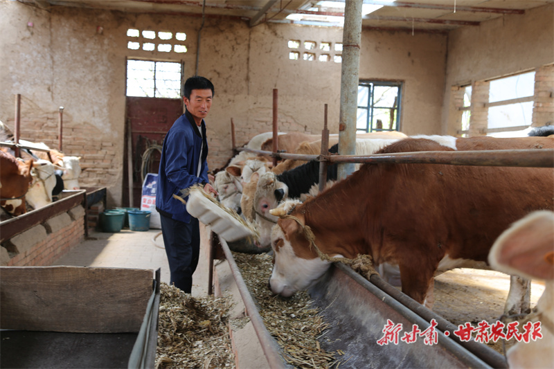 西峰区：特色养殖带来好“钱”景
