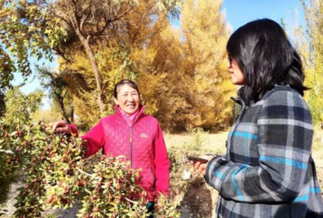 雒金梅：巾帼创业“枣”来到