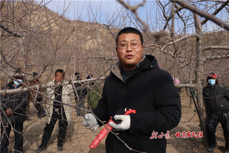 静宁：果农“挑战”技术员 “挑战”变“双赢”