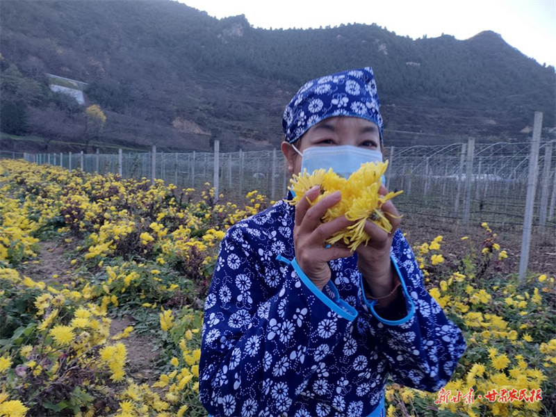 麦积区：“花样”产业带来致富新路子