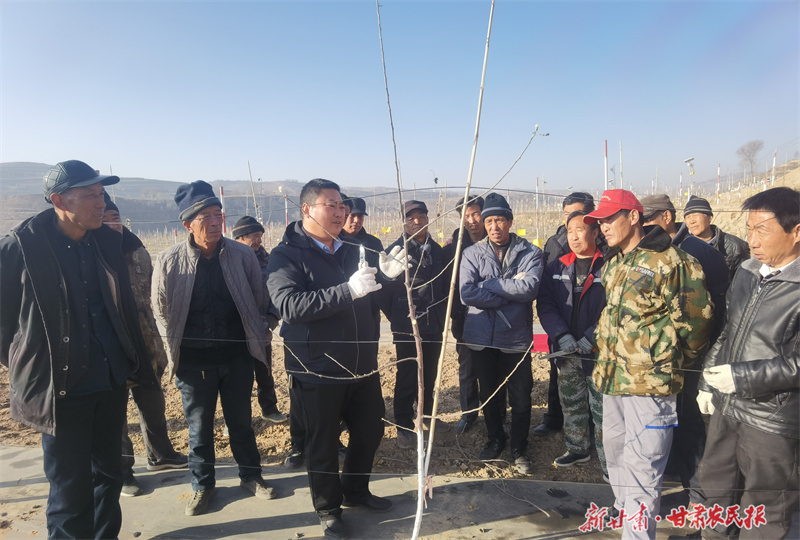 静宁：不负好春光 果园农事忙