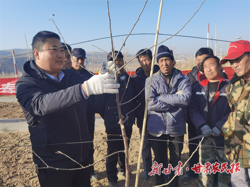 人勤春来早 春耕备耕忙